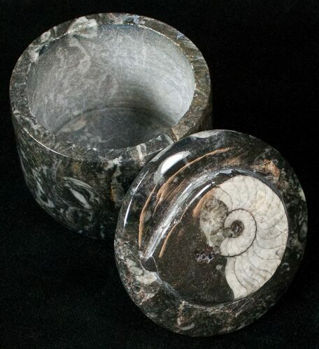 Small Fossil Goniatite Jar (Black) - Stoneware #18003